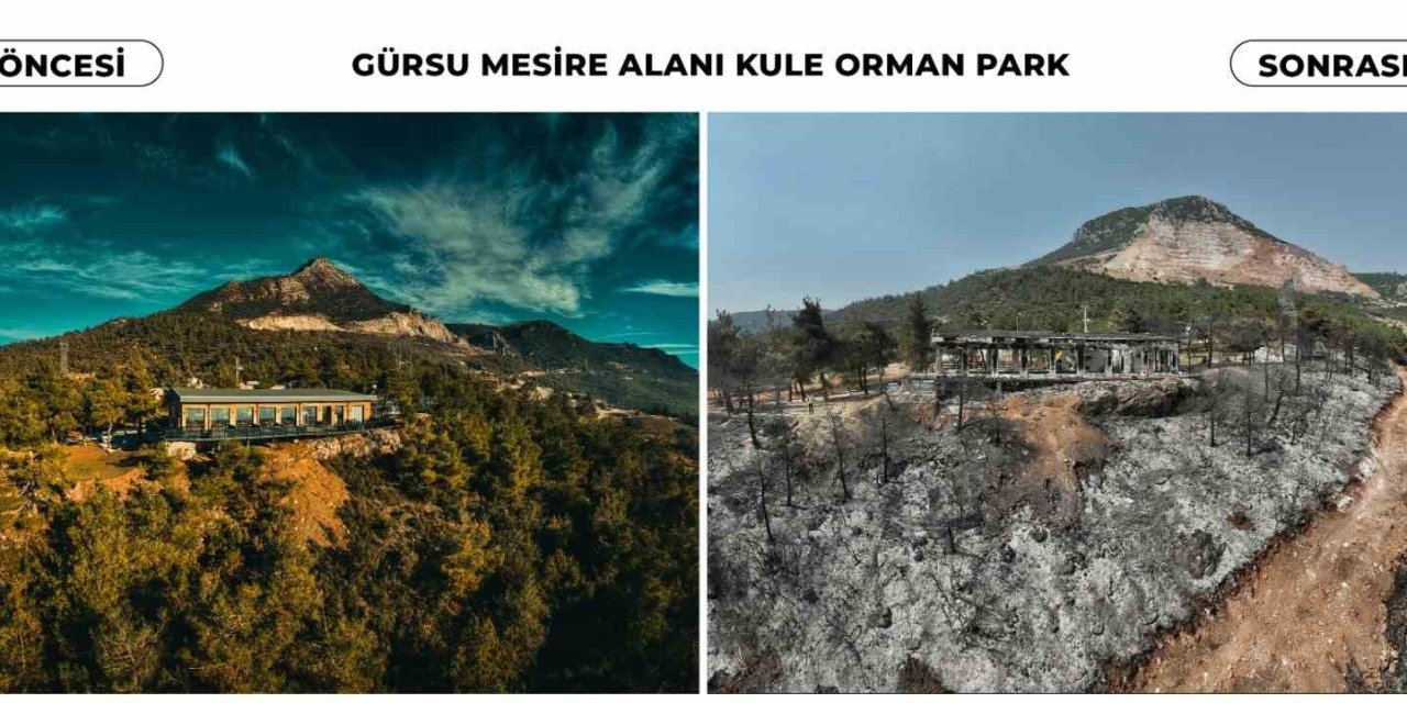 Böyleydi Böyle Oldu