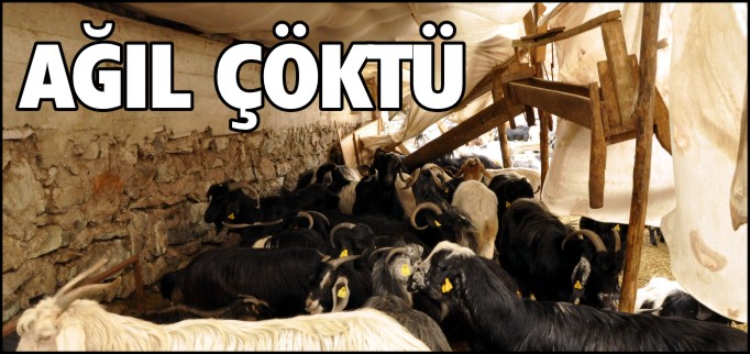 AĞIL ÇÖKTÜ