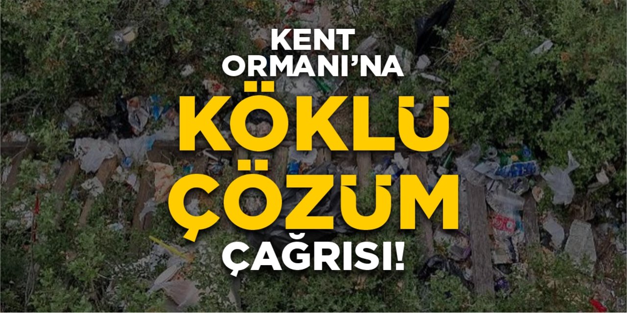 Kent Ormanı’na köklü çözüm çağrısı!