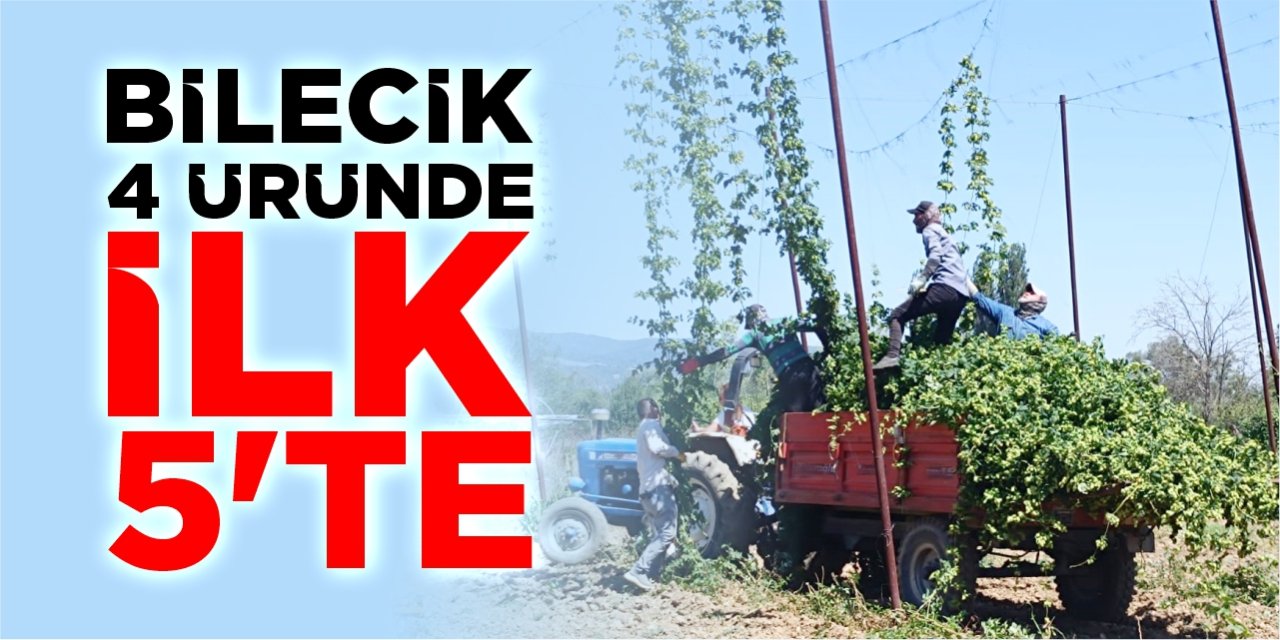 Bilecik 4 üründe ilk 5'te