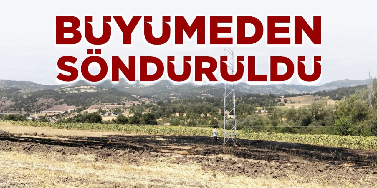 Büyümeden söndürüldü