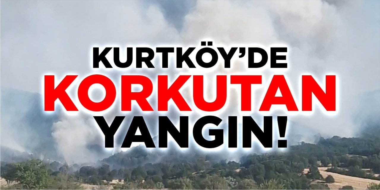 Kurtköy'de korkutan yangın!