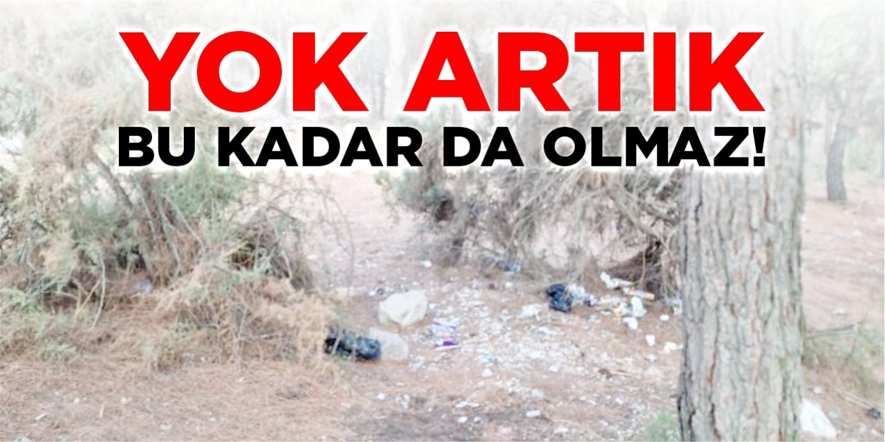 Yok artık, bu kadar da olmaz!