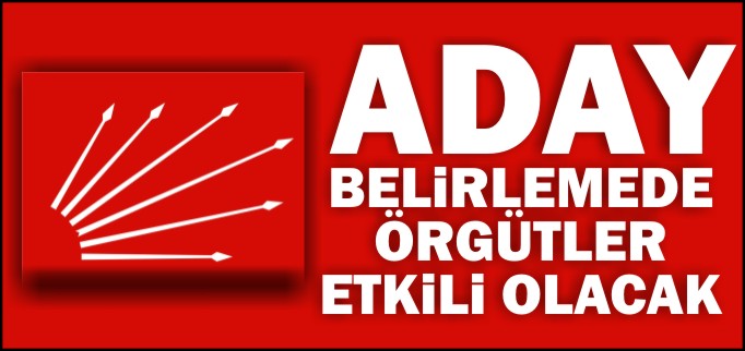 ADAY BELiRLEMEDE ÖRGÜTLER  ETKiLi OLACAK