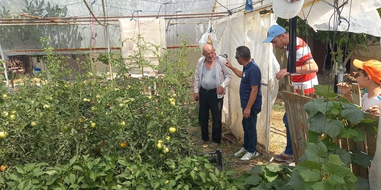 Seralarda Bitki Hastalık Ve Zararlı Kontrolleri
