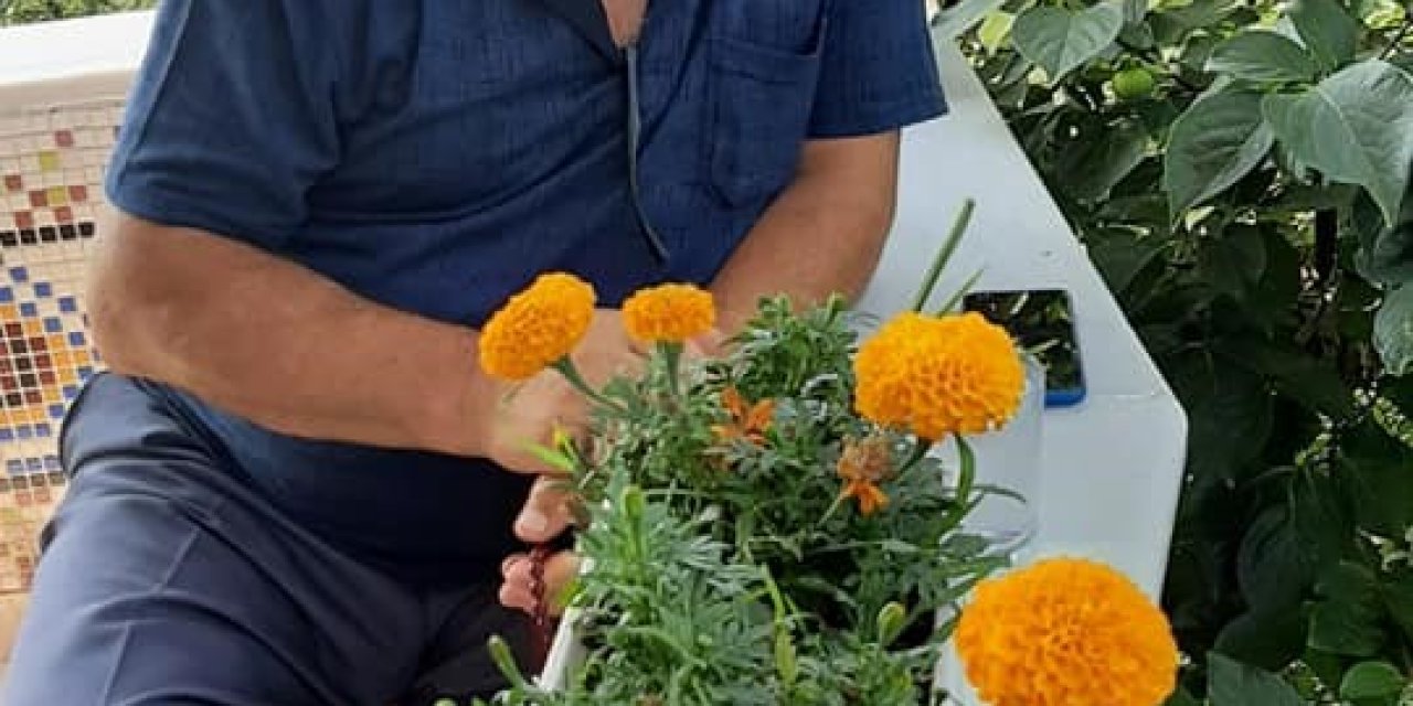 Çıktığı erik ağacından düşen 72 yaşındaki şahıs hayatını kaybetti