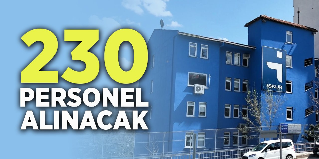 230 personel alınacak