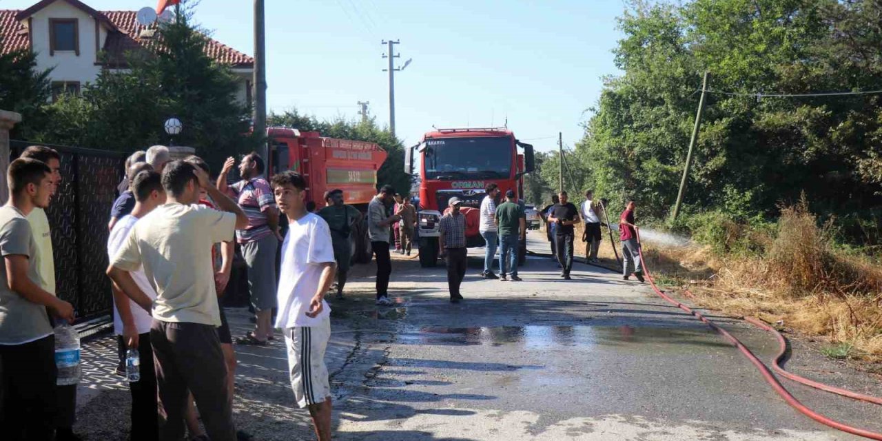 Yerleşim Alanına Yakın Ormanlık Alanda Korkutan Yangın