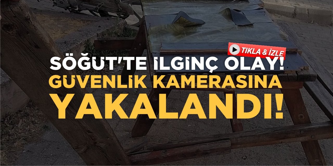 Söğüt'te İlginç Olay! Güvenlik Kamerasına Yakalandı