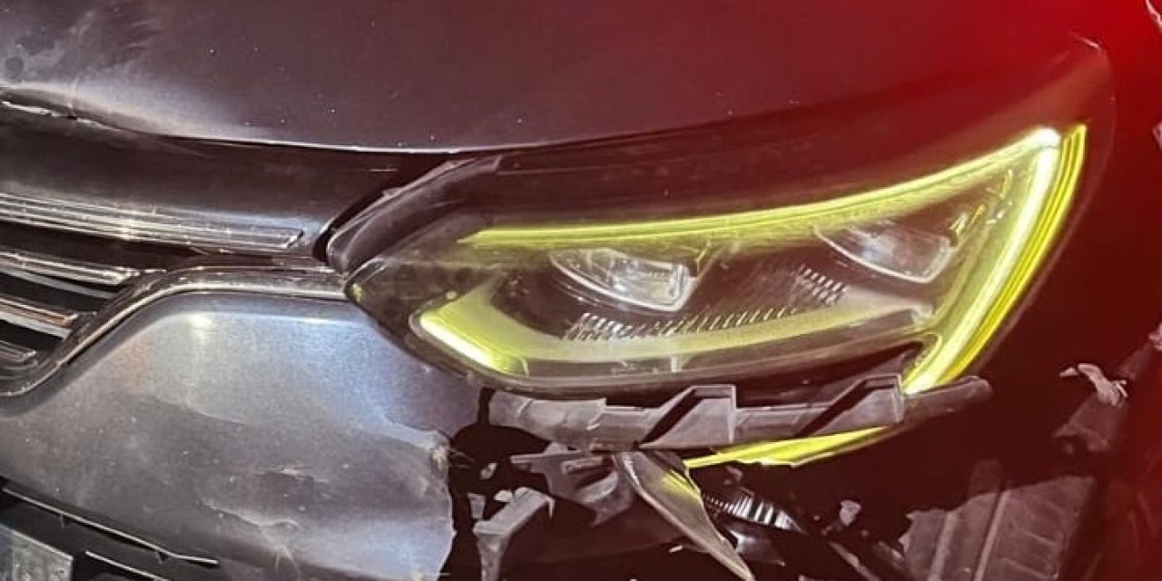 Otomobilin Çarptığı Ayı Telef Oldu