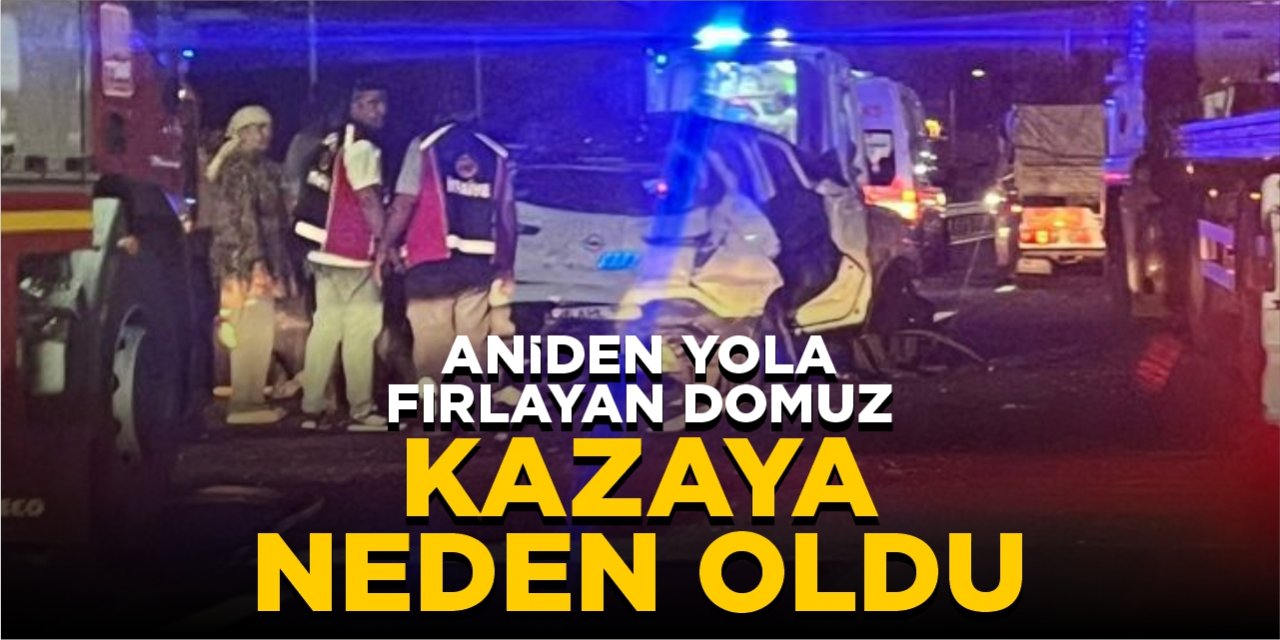 Aniden Yola Çıkan Domuz Kazaya Neden Oldu