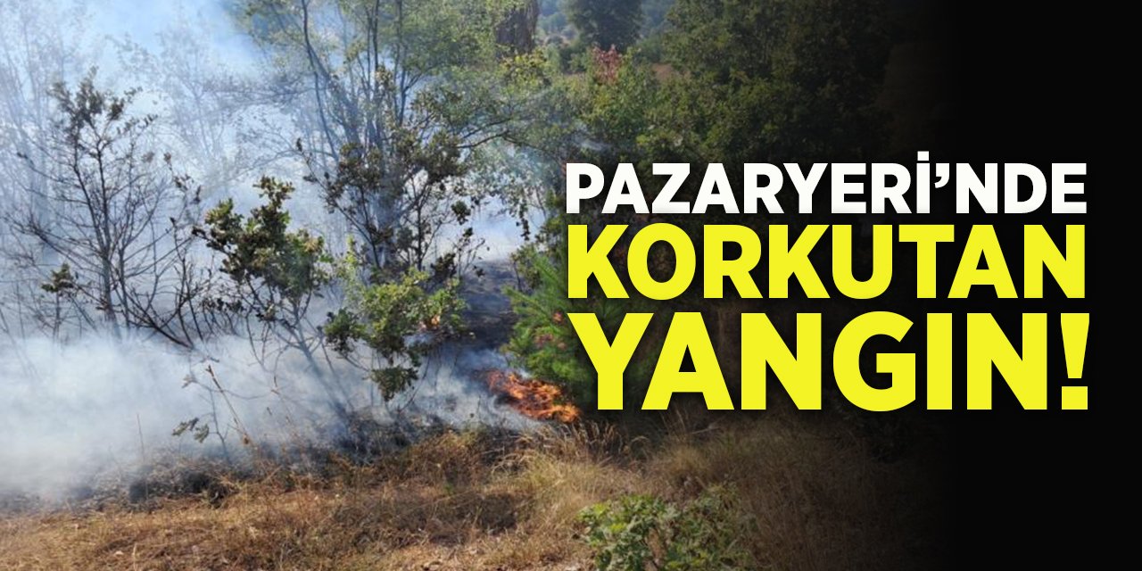 Pazaryeri'nde Korkutan Yangın!