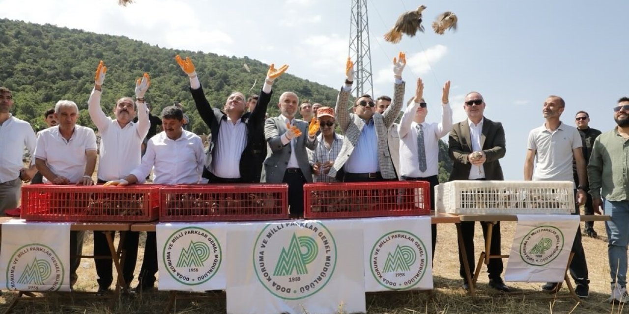 300 Keklik Doğaya Salındı