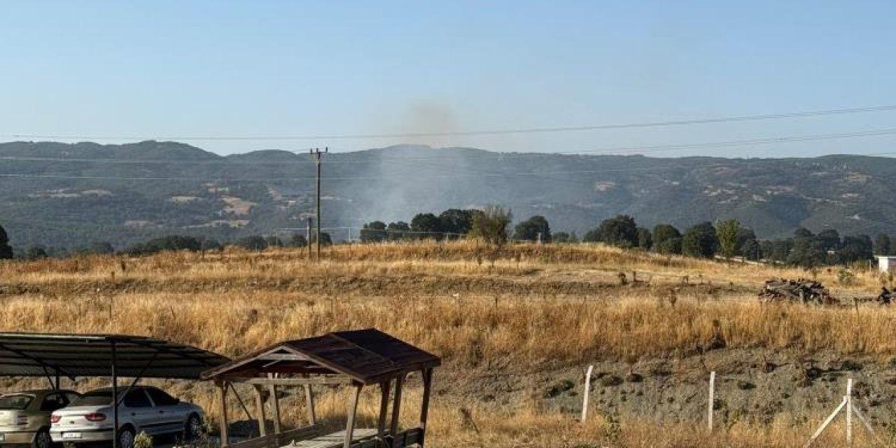 Anız yangını büyümeden söndürüldü