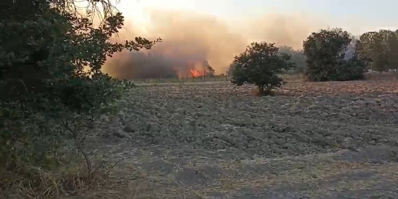 Bursa’da Yangın Paniği!