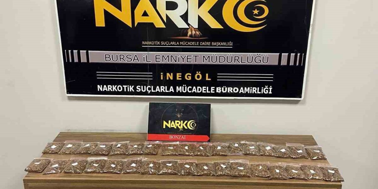Uyuşturucu Taciri Tutuklandı