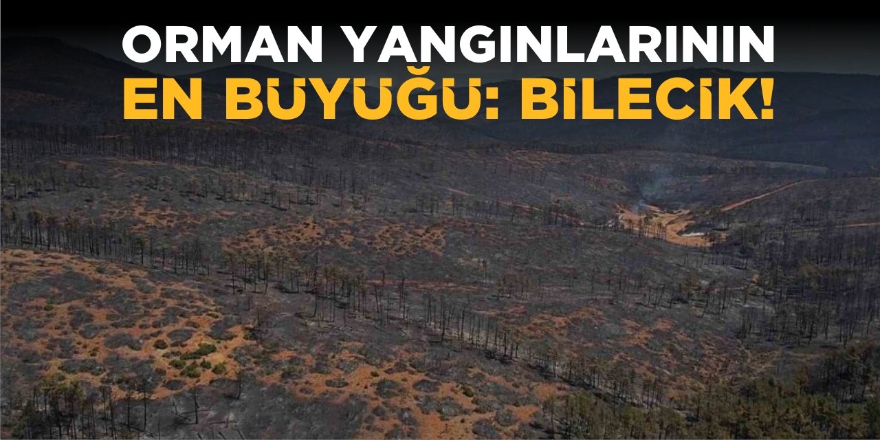 Orman yangınlarının en büyüğü: Bilecik