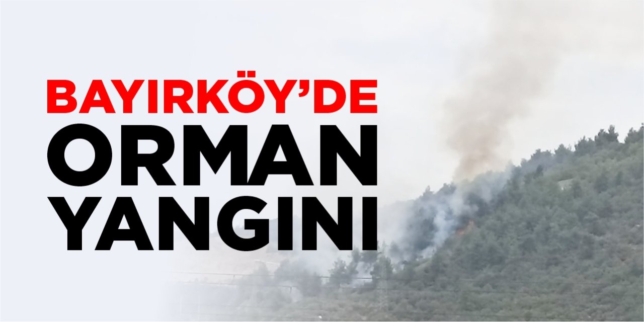 Bayırköy'de orman yangını