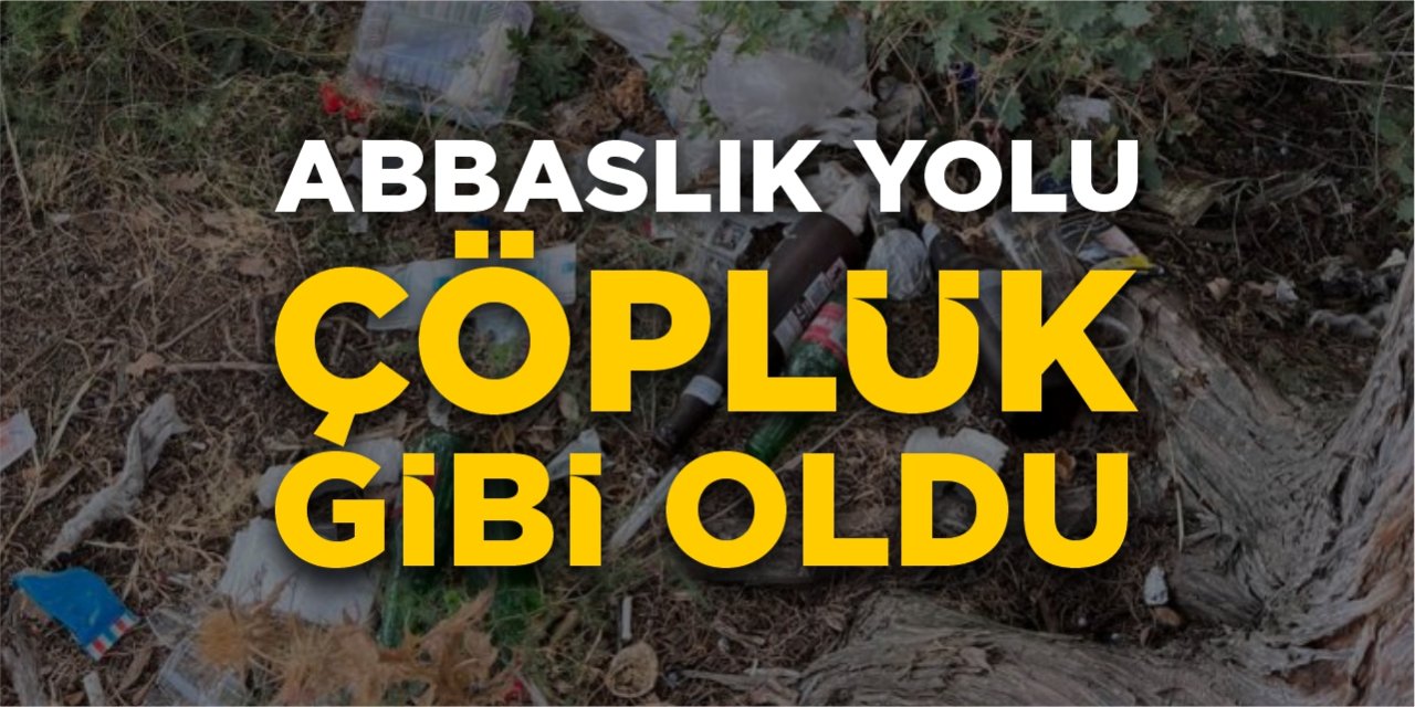 Abbaslık yolu çöplük gibi oldu