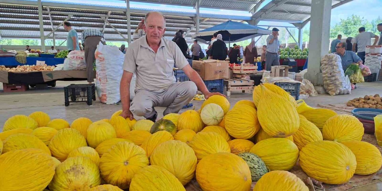 Yerli Kavun 20 TL’den Tezgâhta Yerini Aldı