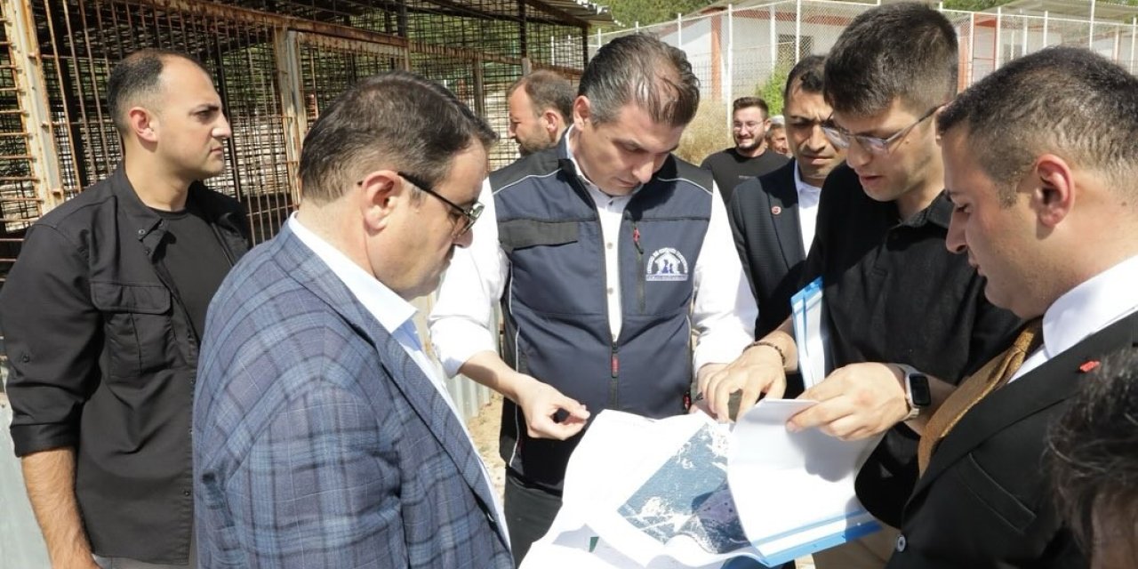 Sahipsiz Hayvanlara Yönelik Hizmetler Toplumsal Duyarlılığın Bir Göstergesidir