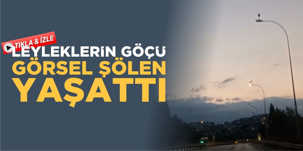 Leyleklerin Göçü Bilecik’te Görsel Şölen Yarattı