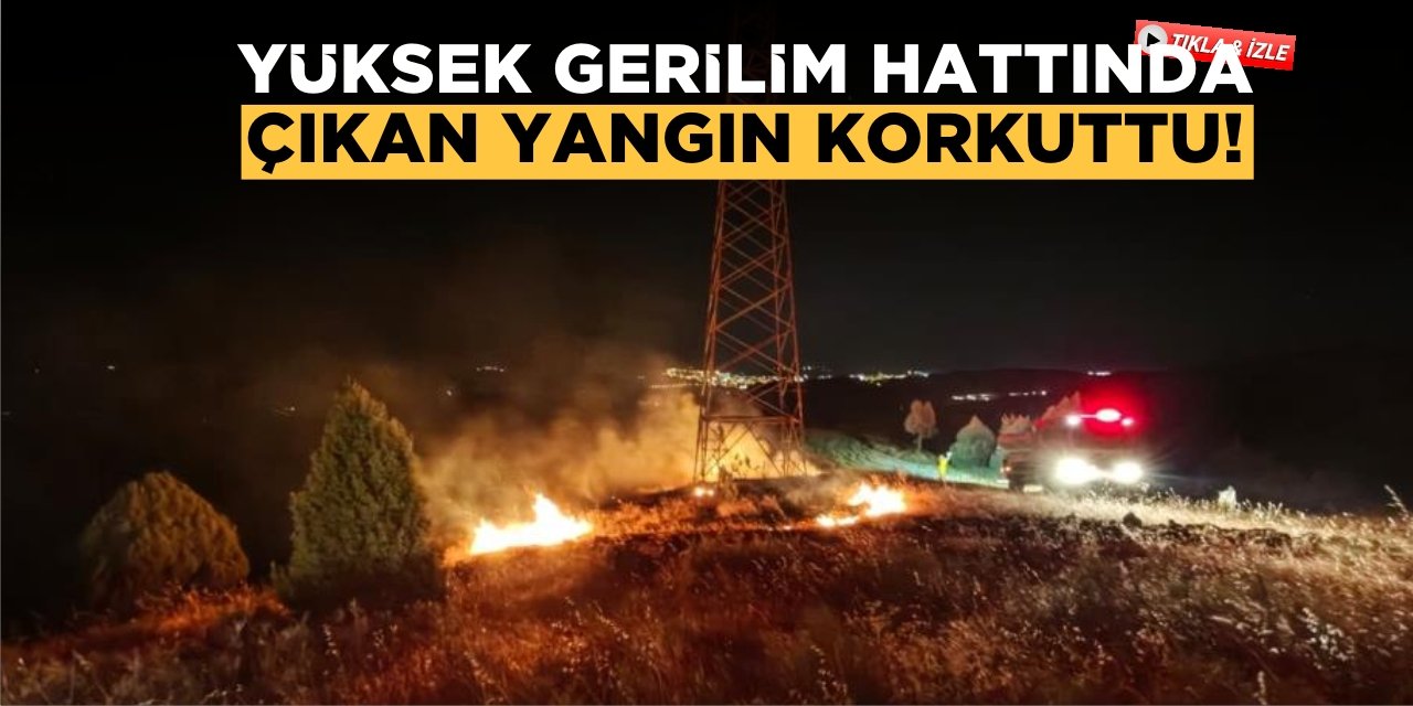Yüksek Gerilim Hattı Altında Çıkan Yangın Korkuttu