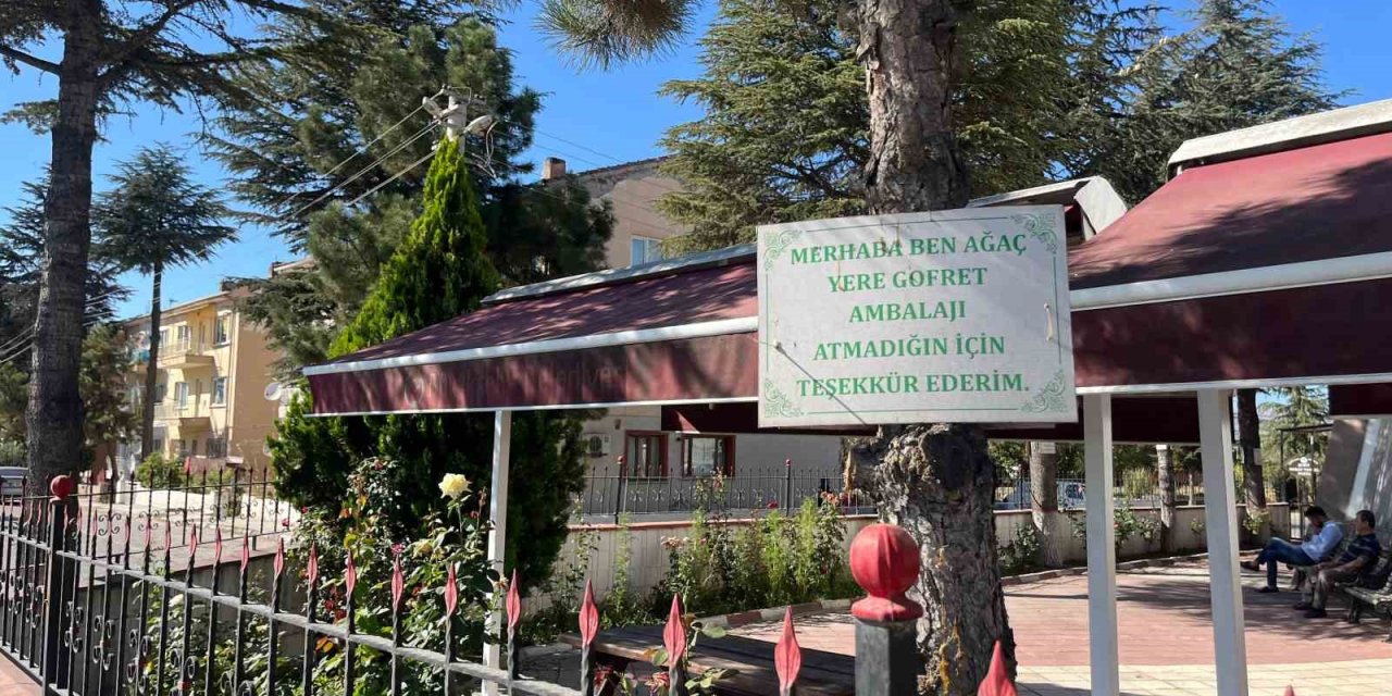Ağaçlarda Çevreye Duyarlılık Mesajları
