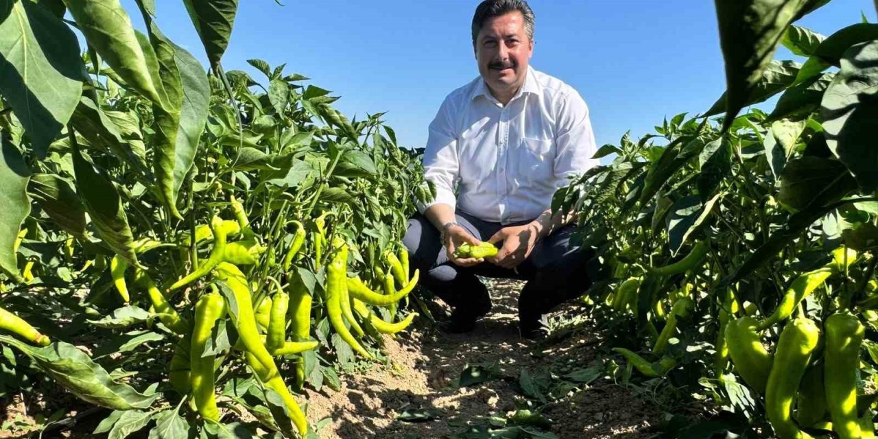 Başkandan Tarım İşçilerine Ziyaret