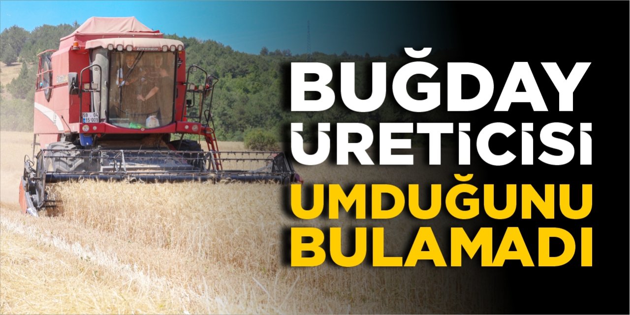 Buğday üreticisi umduğunu bulamadı!