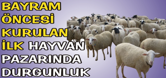 BAYRAM ÖNCESİ KURULAN İLK HAYVAN PAZARINDA DURGUNLUK