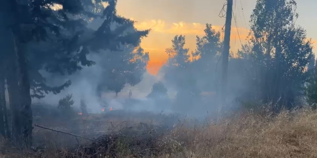 Bursa’da Korkutan Orman Yangını