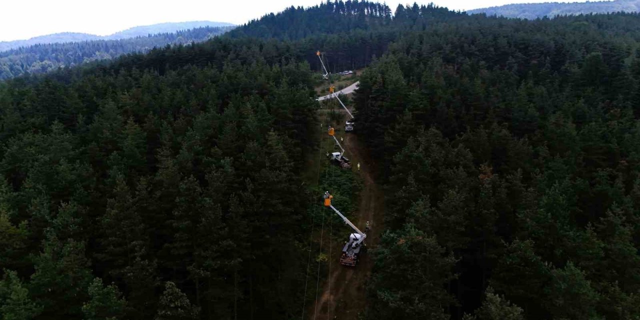 Sedaş, Orman Yangınlarına Karşı Dron Destekli Denetimlerini Artırdı