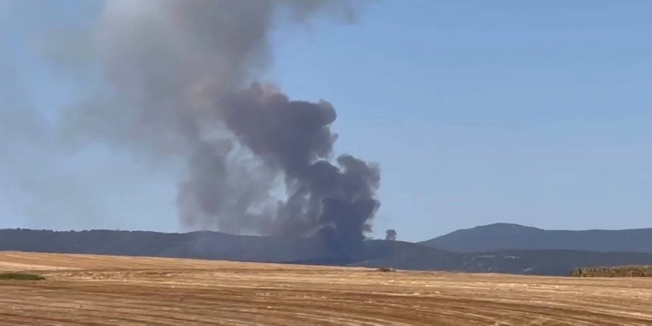 Bursa’da Orman Yangını