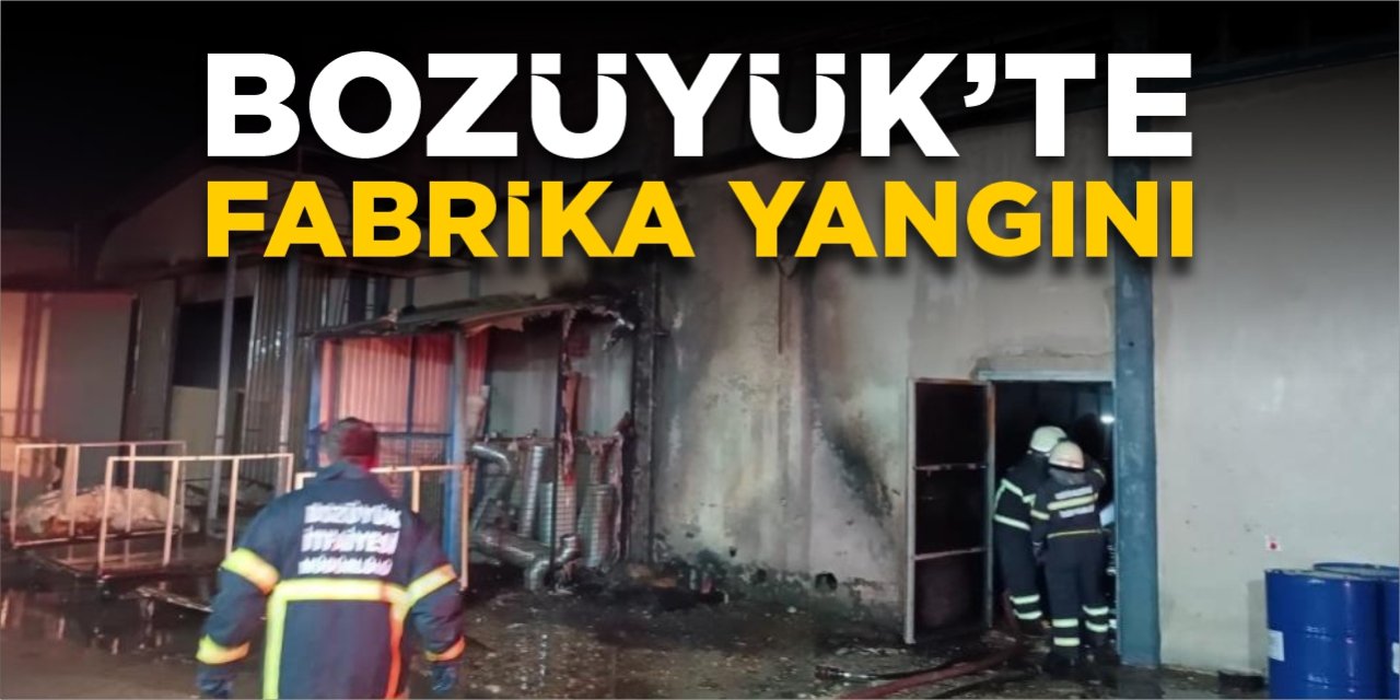 Bozüyük'te fabrika yangını