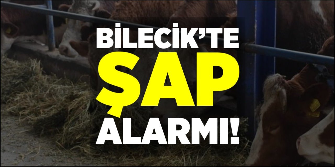 Bilecik'te şap hastalığı alarmı!
