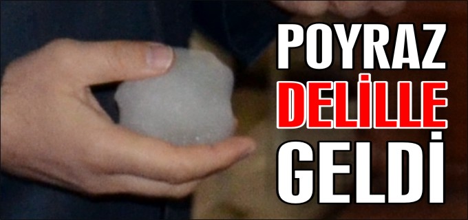 POYRAZ DELİLLE GELDİ