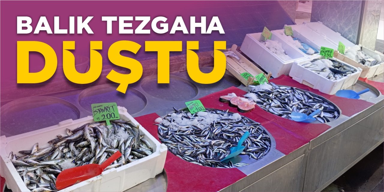 Balık tezgaha düştü