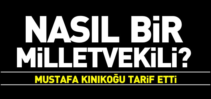 NASIL BİR MİLLETVEKİLİ