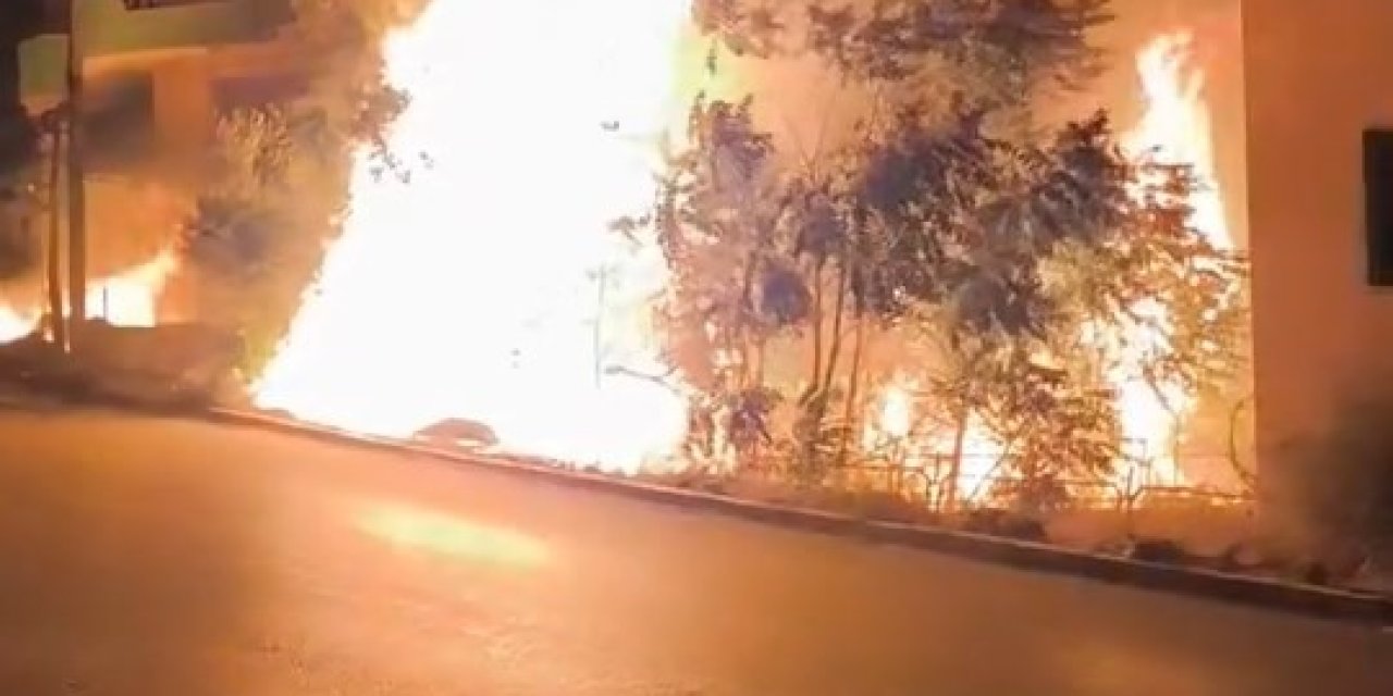 Alev Alan Ağaçlar Villaları Böyle Tehdit Etti