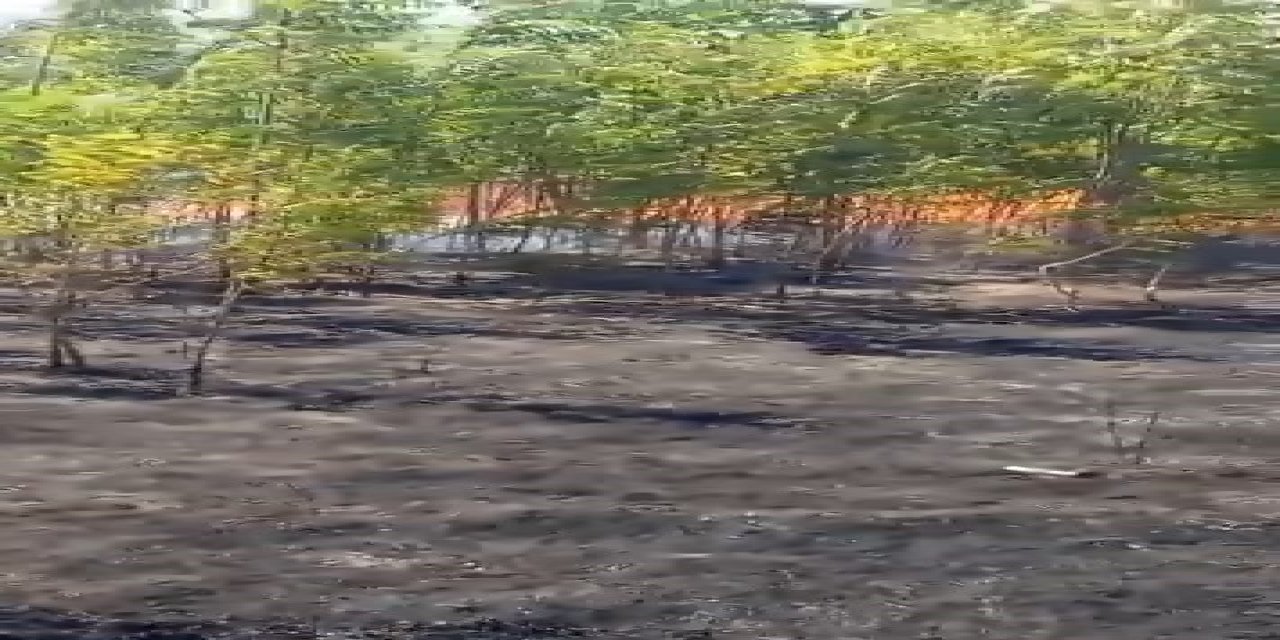 Okulun Bahçesi Alevlere Teslim Oldu