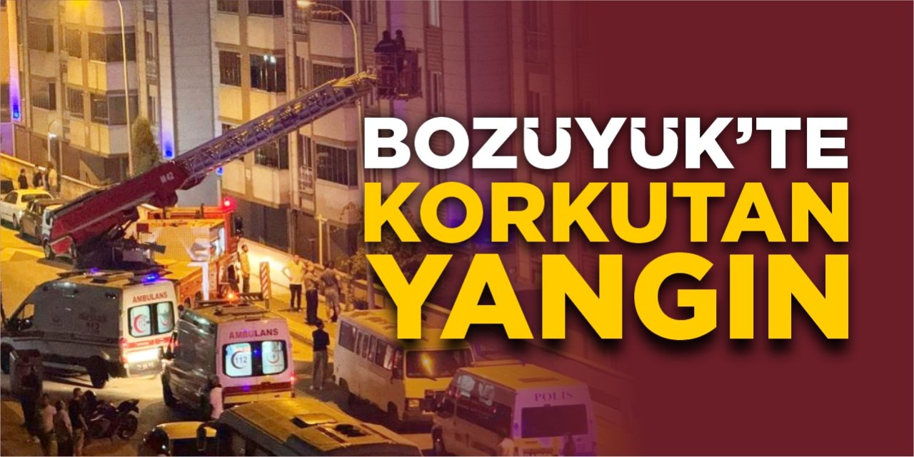 Bozüyük'te korkutan yangın