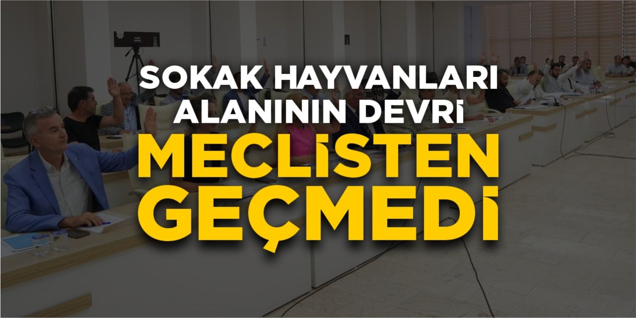 Sokak hayvanları alanının devri meclisten geçmedi!