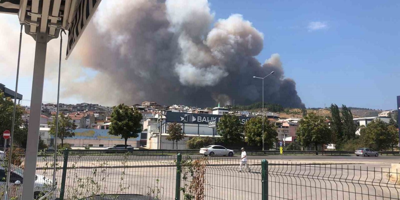 Ormanlık Alanda Yangın Çıktı