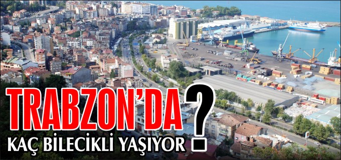 TRABZON’DA KAÇ BİLECİKLİ YAŞIYOR?