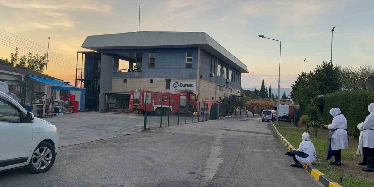 Gemlik Serbest Bölge’de Çıkan Yangın Paniğe Neden Oldu