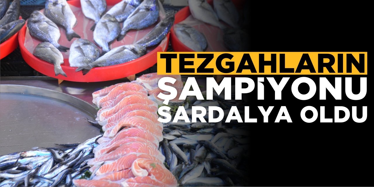 Tezgâhların Şampiyonu Sardalya Oldu