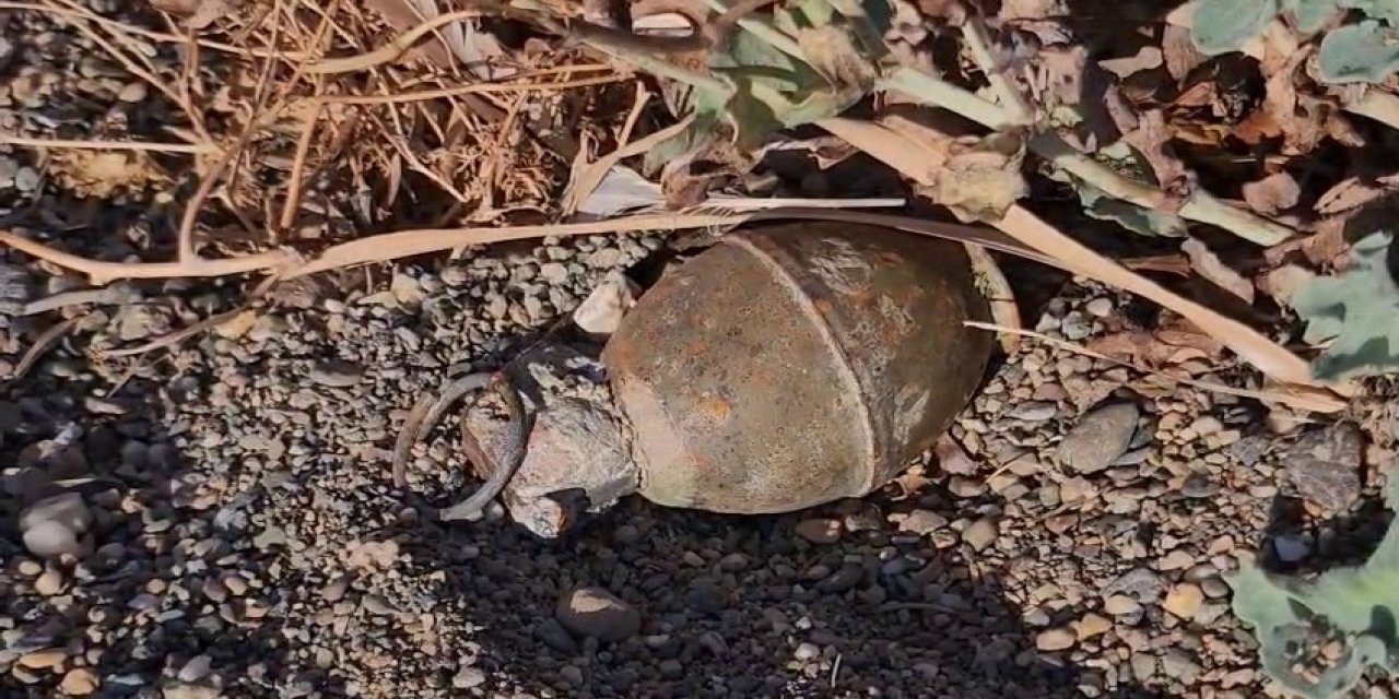 Göl Kıyısında El Bombası Paniği Yaşandı