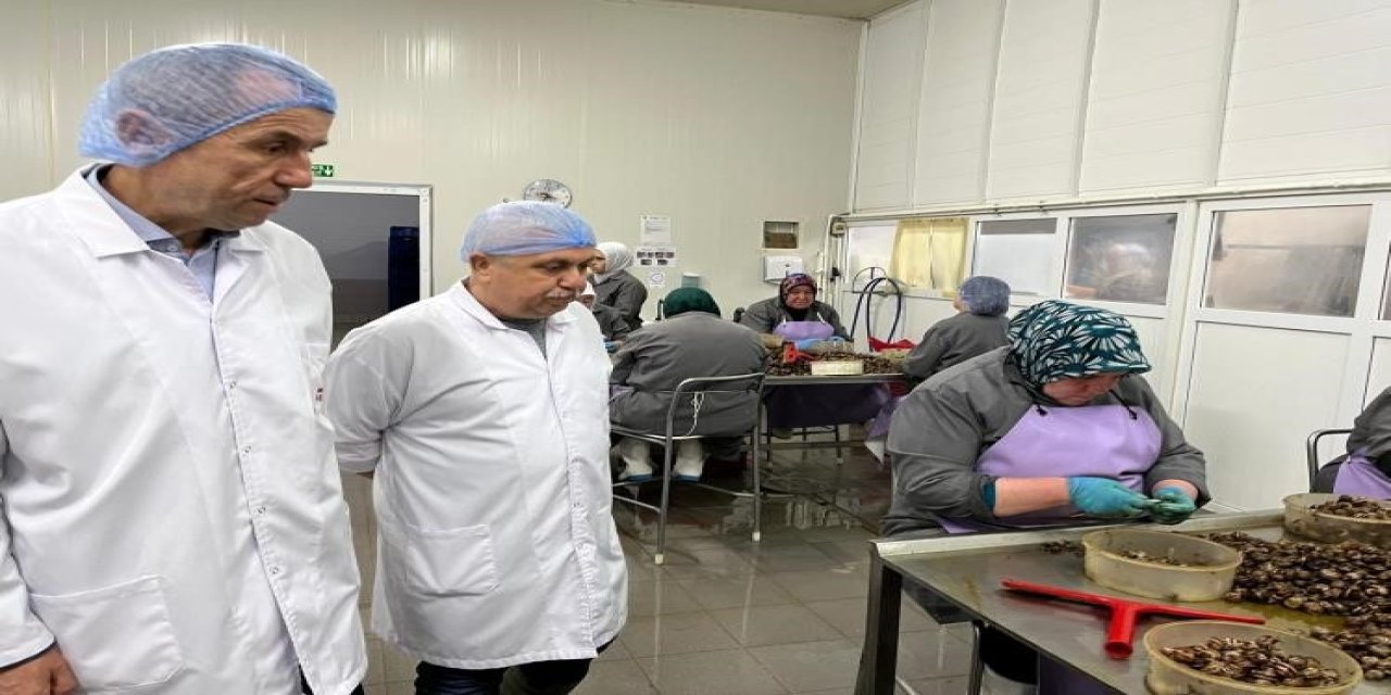 Kırsal Kalkınma Yatırımlarına Destek Sürüyor