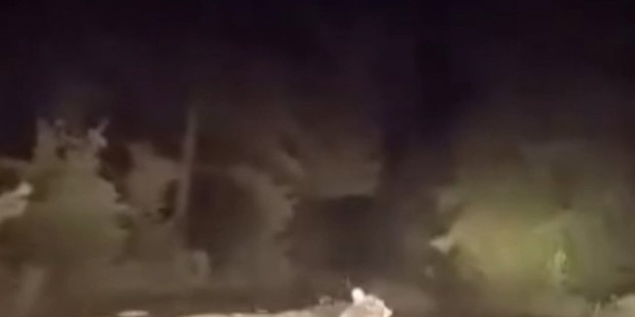 Dağ Yolunda İlerleyen Sürücü Yol Üzerinde Bir Ayıyla Karşılaştı